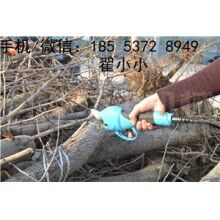 全自動(dòng)修枝剪，高效又省力