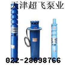 天津潛水電機，天津潛水泵