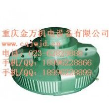 T、TL系列電機(jī)