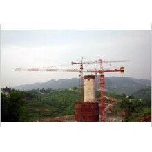 租賃塔吊-QTZ5013