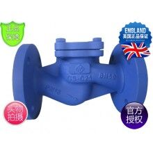 英國(guó)FST弗里斯通升降式止回閥